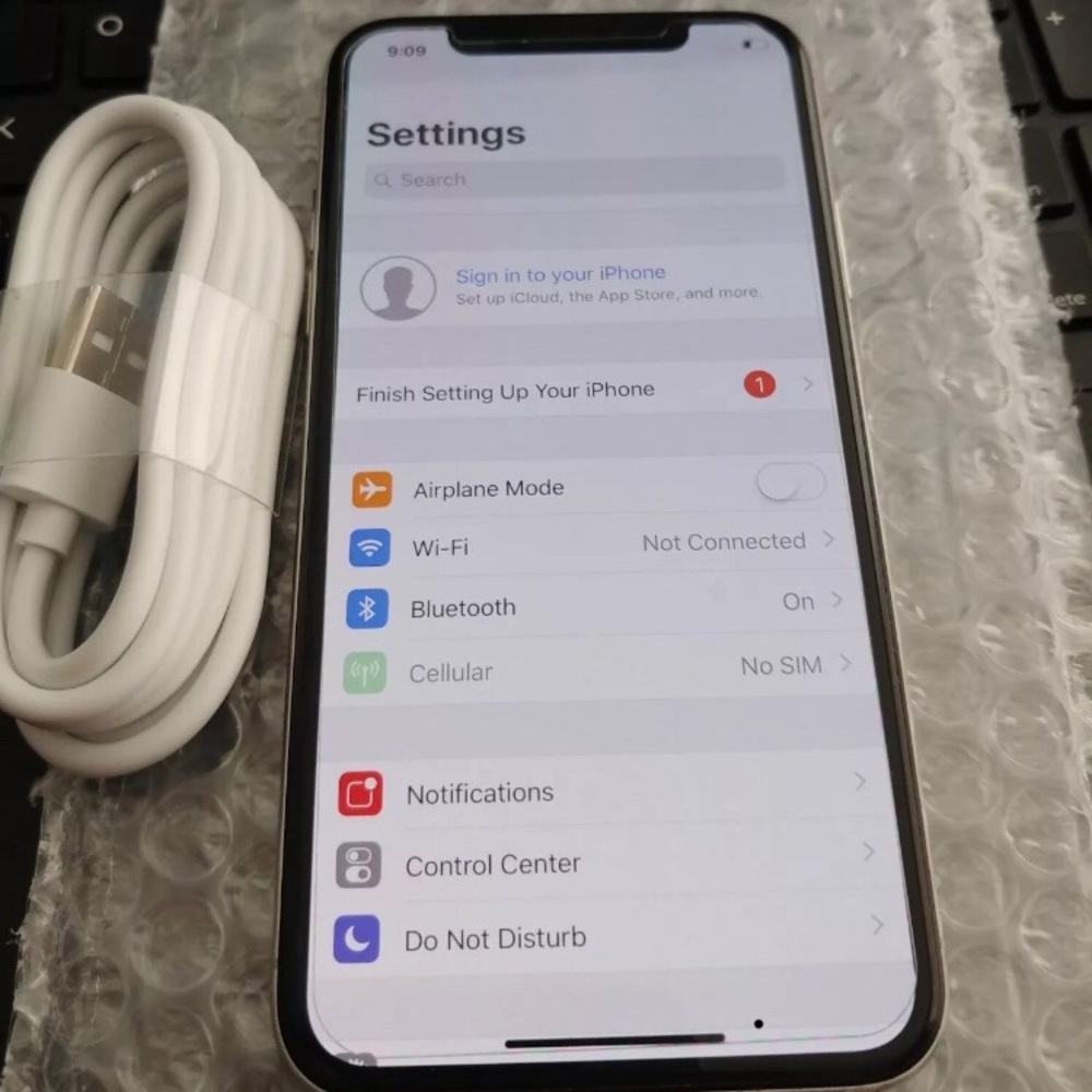 iPhone X
